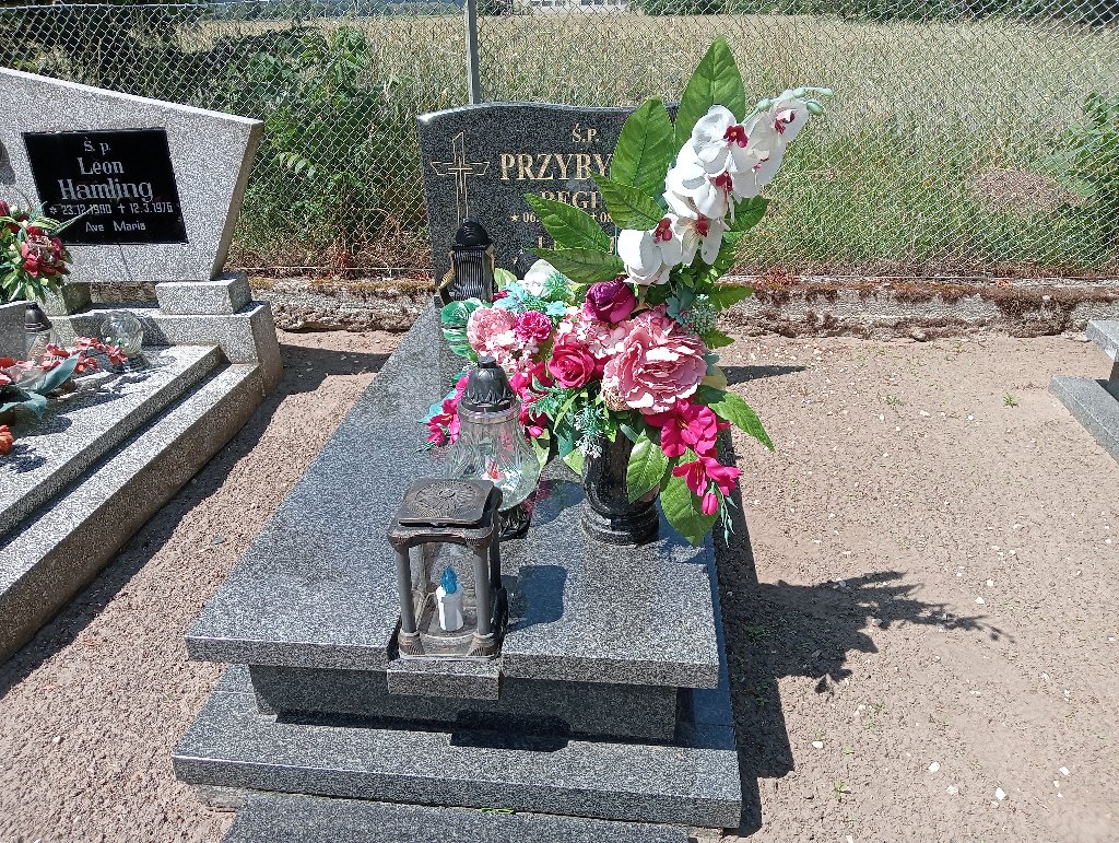 Grób Regina Przybyłka
